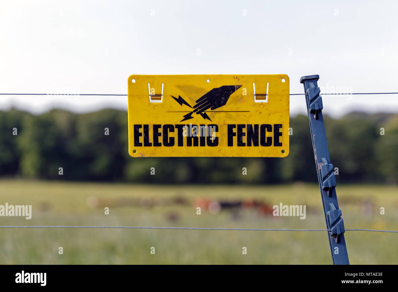 An electric fence in a field. Electrified fence, electric barrier, agricultural fencing. Stock Photo