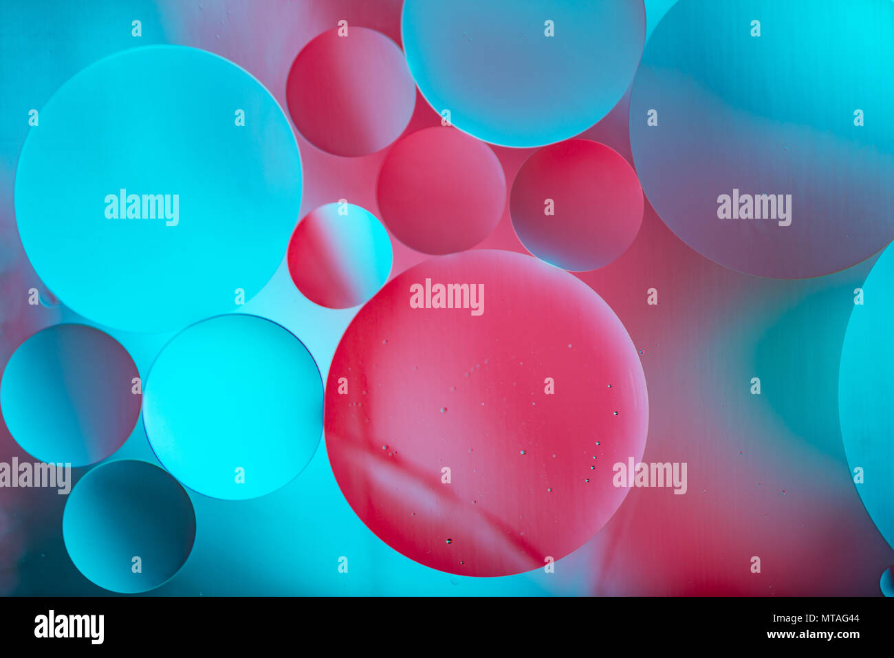 Oil droplets in water refract a blue and pink background. Stock Photo