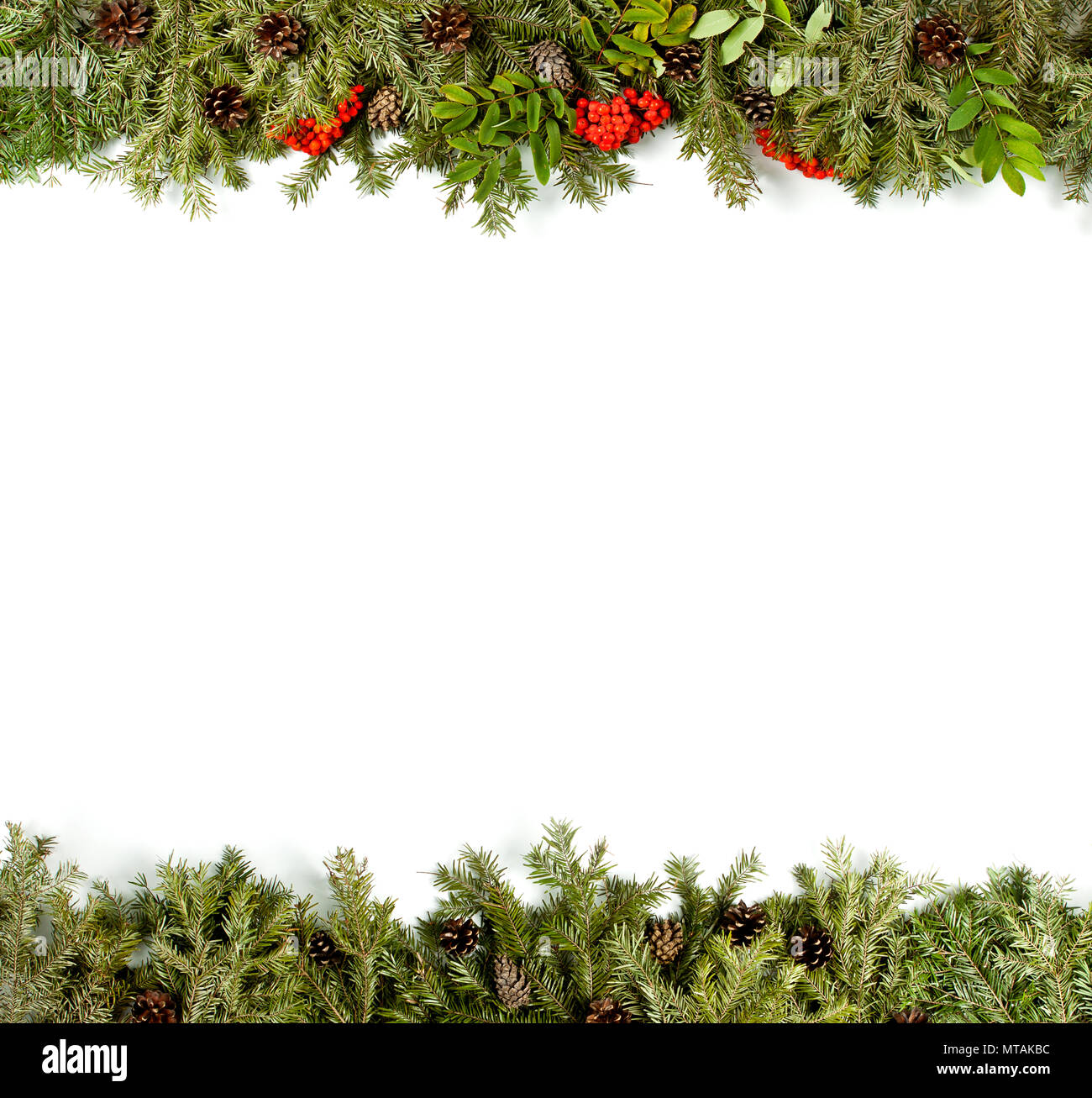 Christmas background with decorations, holly berry, cones isolated on ...