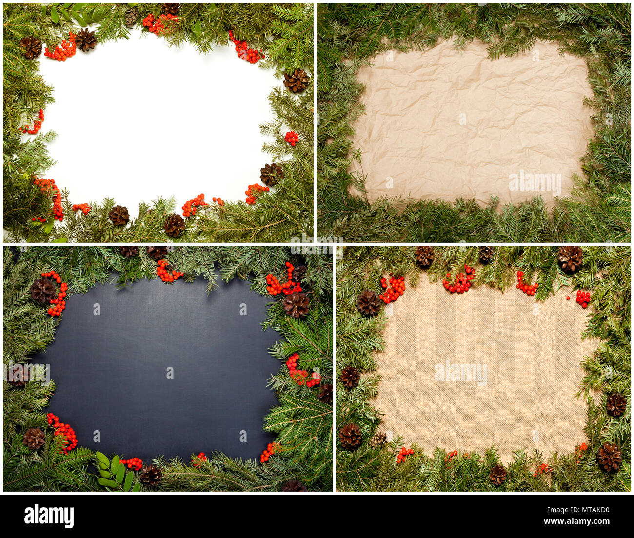 Set of Christmas framework with evergreen fir tree, cones and holly ...