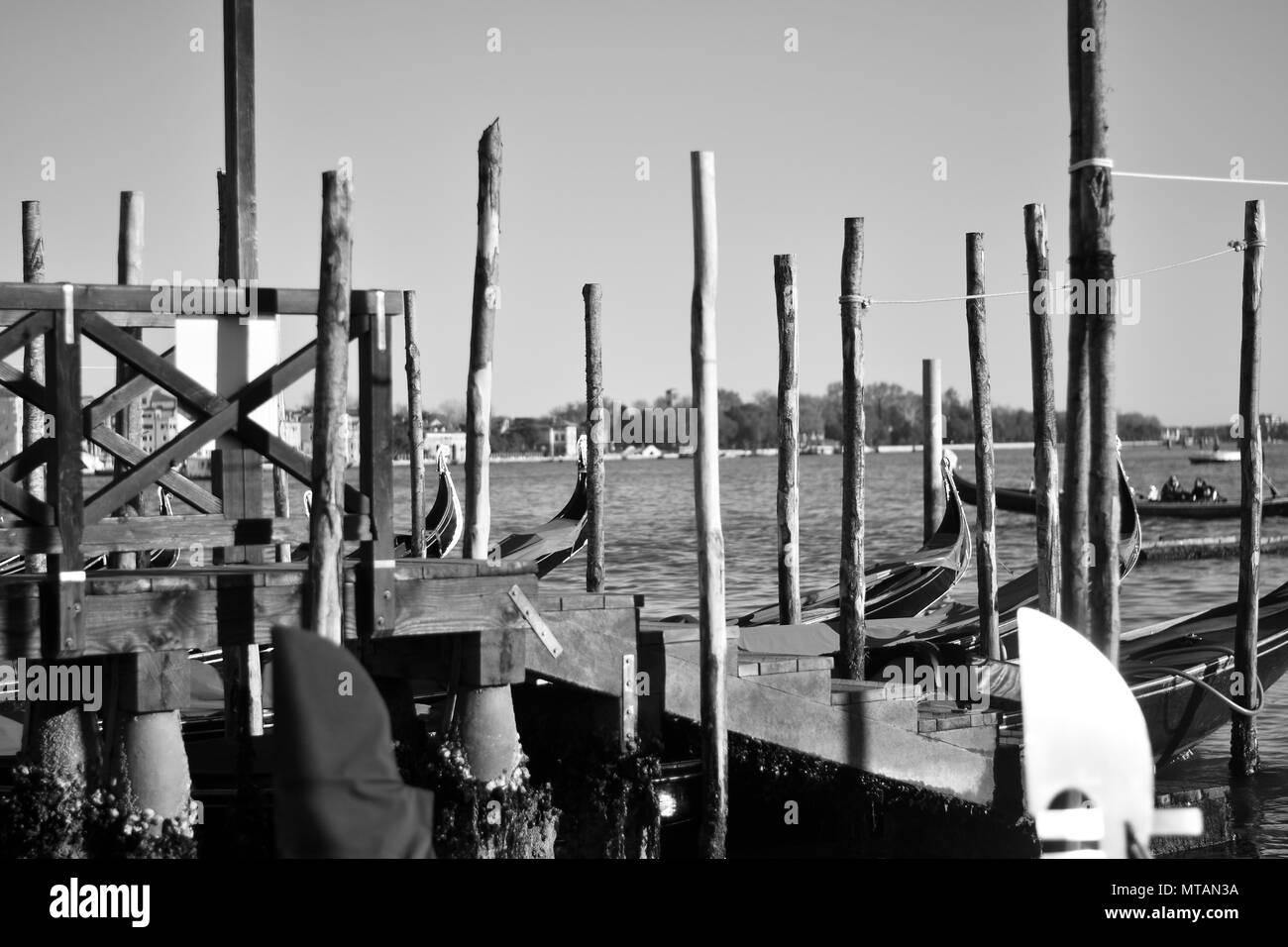 The gondolas moored on the Venice lagoon Stock Photo - Alamy