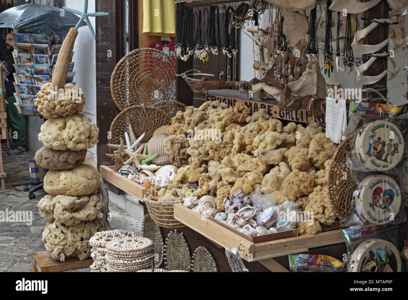Italy Puglia City of Gallipoli the ancient village sponges of the sea