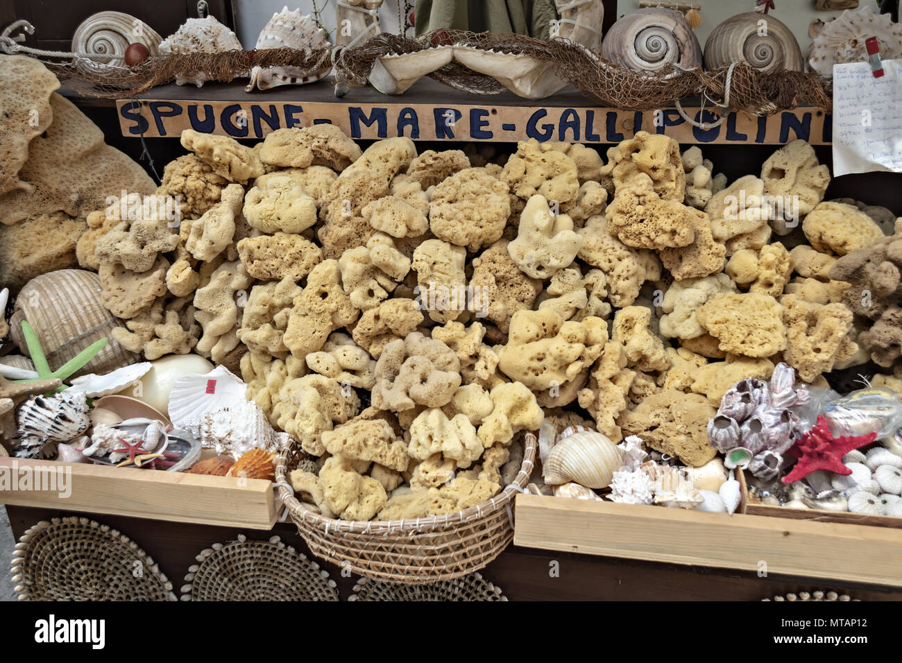 Italy Puglia City of Gallipoli the ancient village sponges of the sea 2