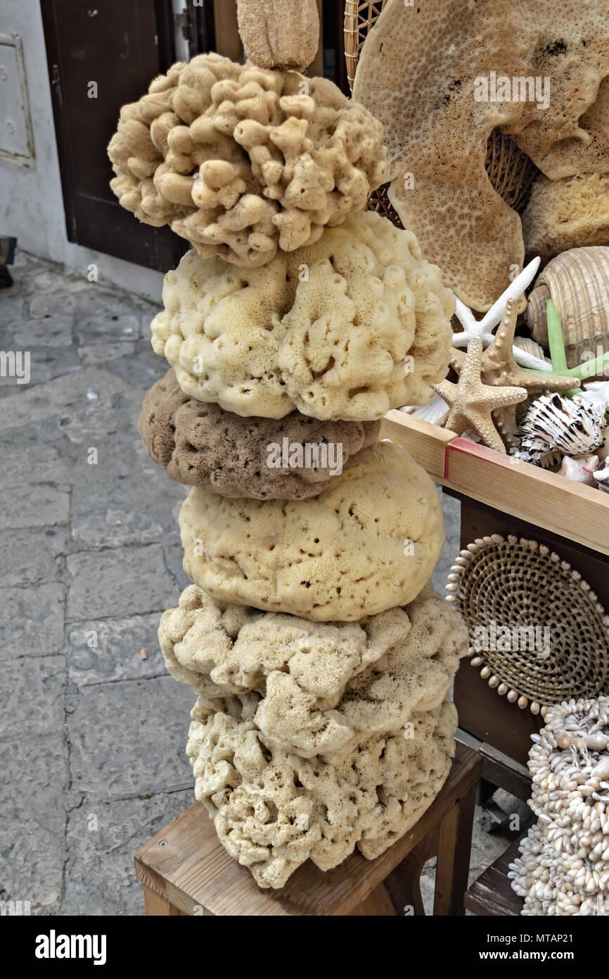 Italy Puglia City of Gallipoli the ancient village sponges of the sea 3