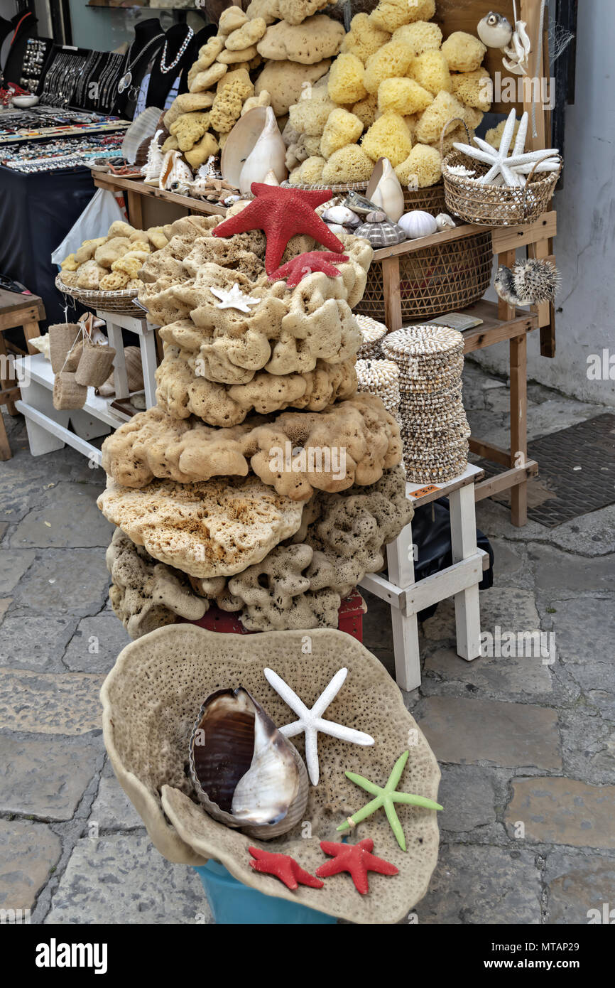 Italy Puglia City of Gallipoli the ancient village sponges of the sea 4
