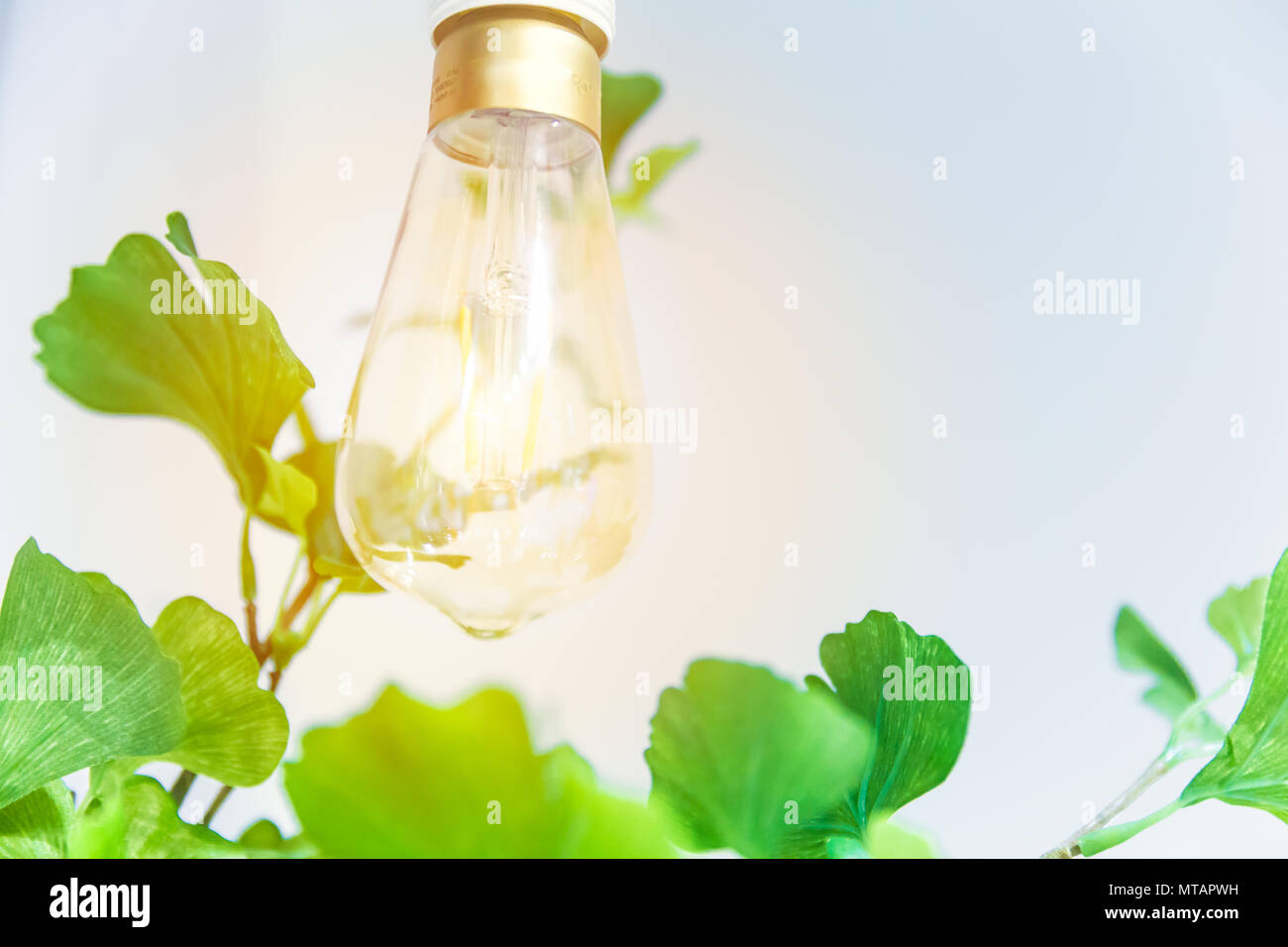 Light bulb with nature plant leaf for Green Bio clean Energy concept or Plant Photosynthesis concept. Stock Photo