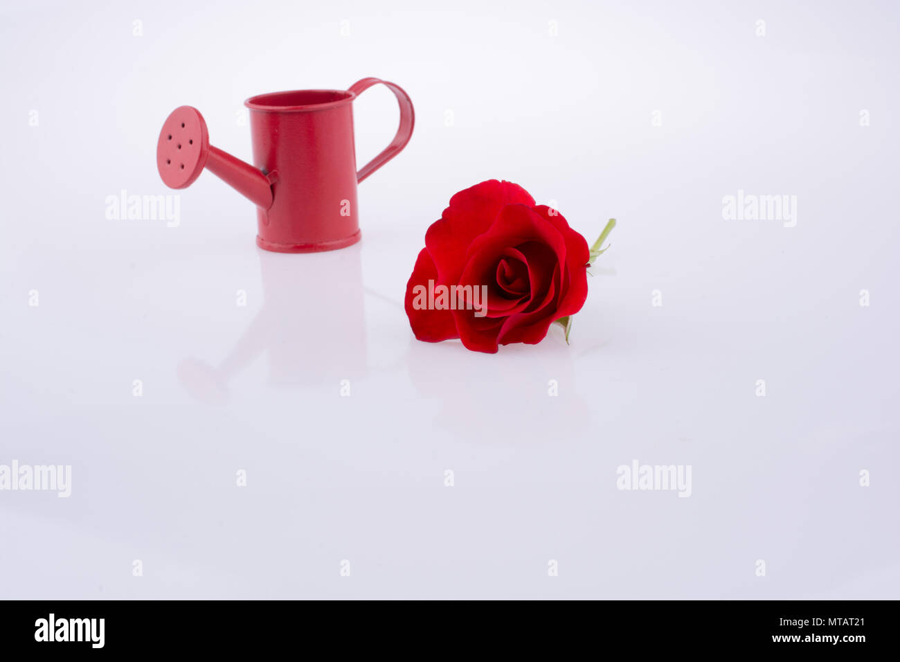 Watering rose can hi-res stock photography and images - Page 5 - Alamy