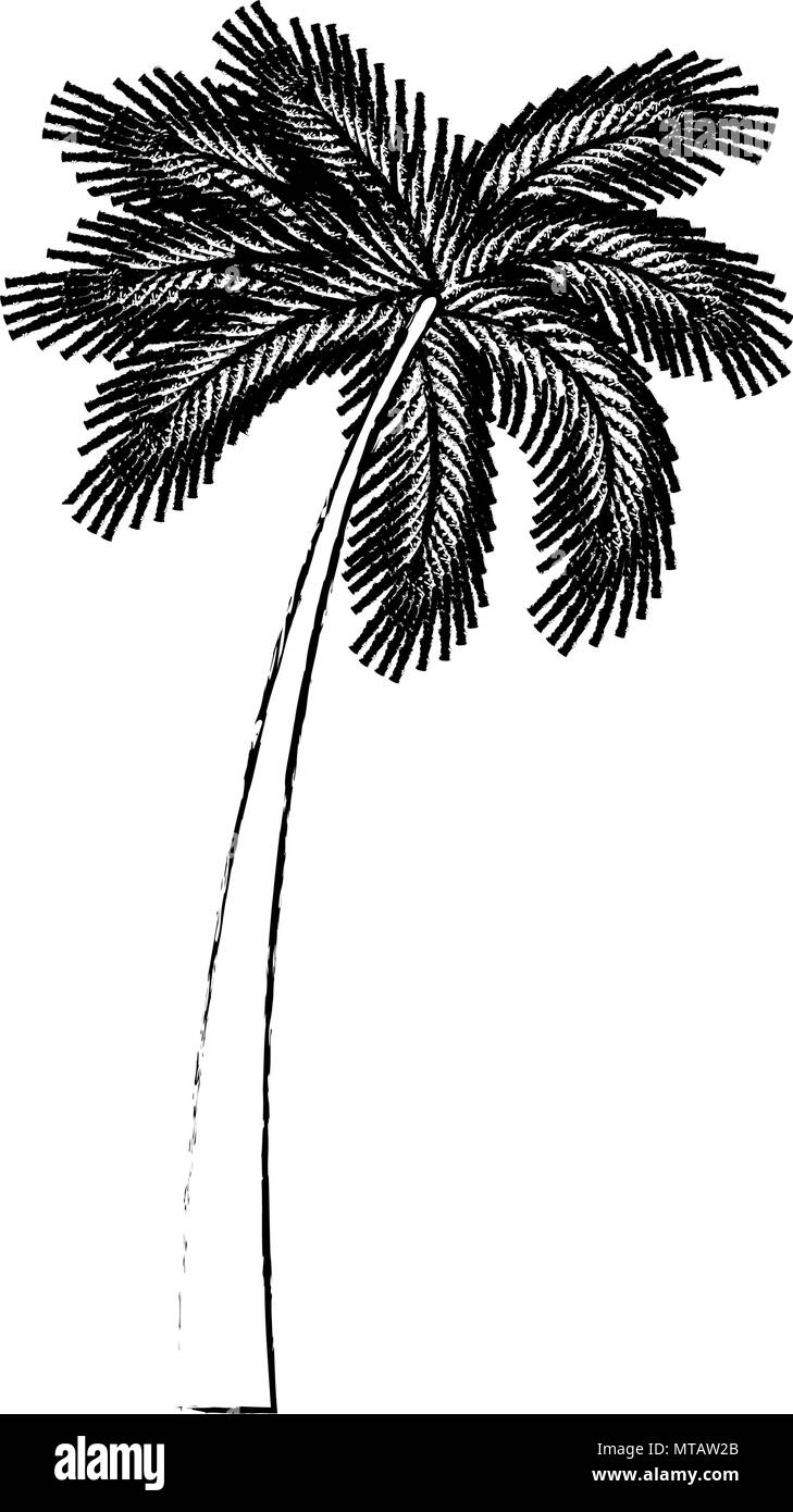 tree palm natural icon Stock Vector Image & Art - Alamy