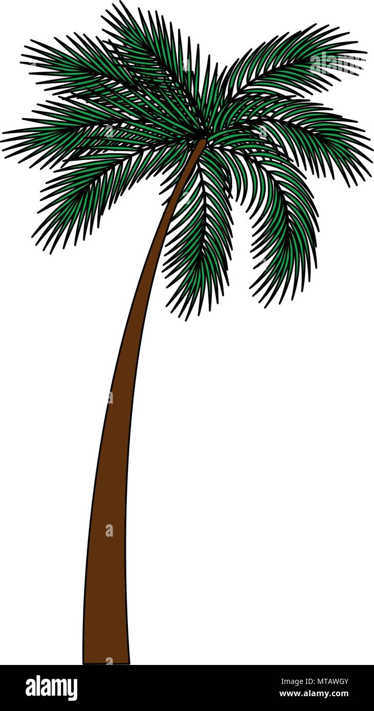 tree palm natural icon Stock Vector Image & Art - Alamy