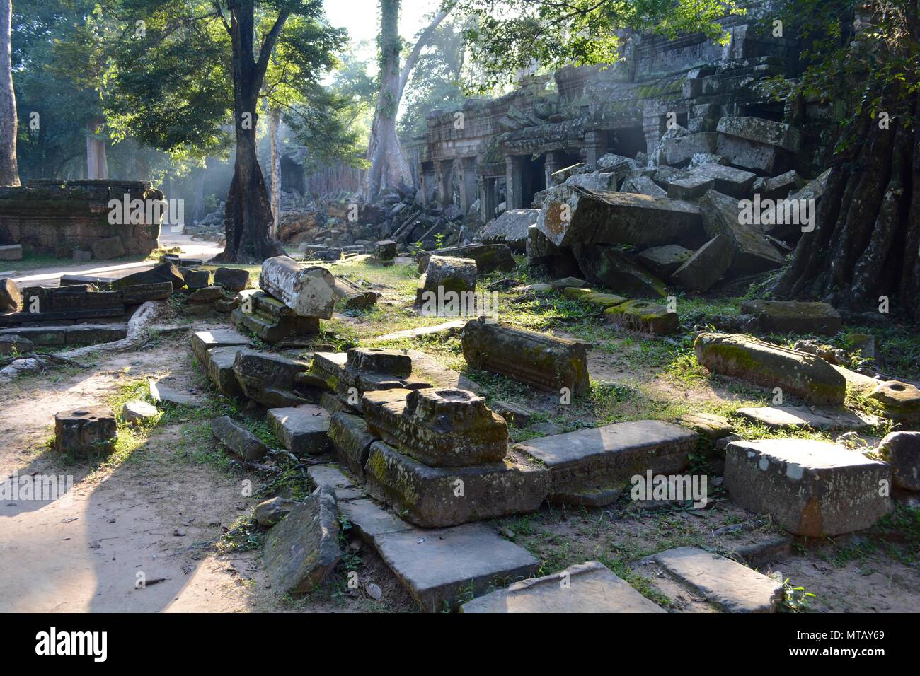 trees and ruins at ta phrom temple cambodia Stock Photo