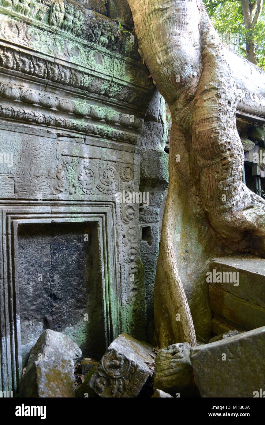 trees and ruins at ta phrom temple cambodia Stock Photo