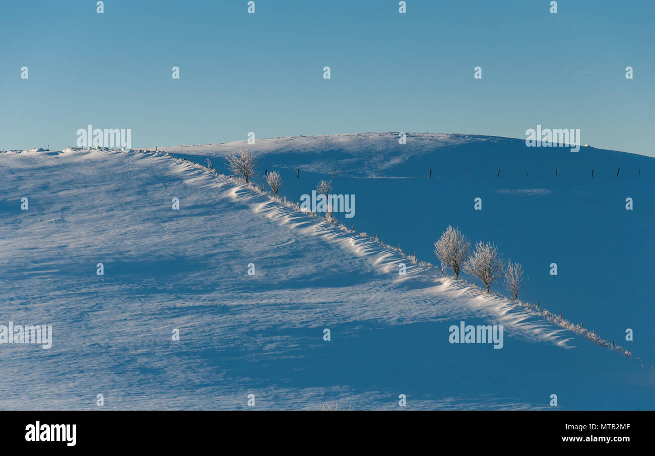 Blue, cold winter morning on Schauinsland/Black Forest Stock Photo