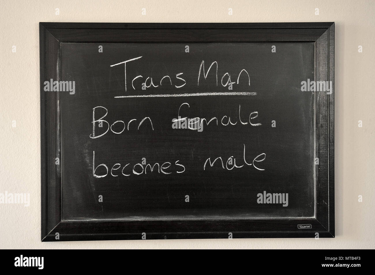 Trans man definition written in a white chalk on a wall mounted blackboard Stock Photo