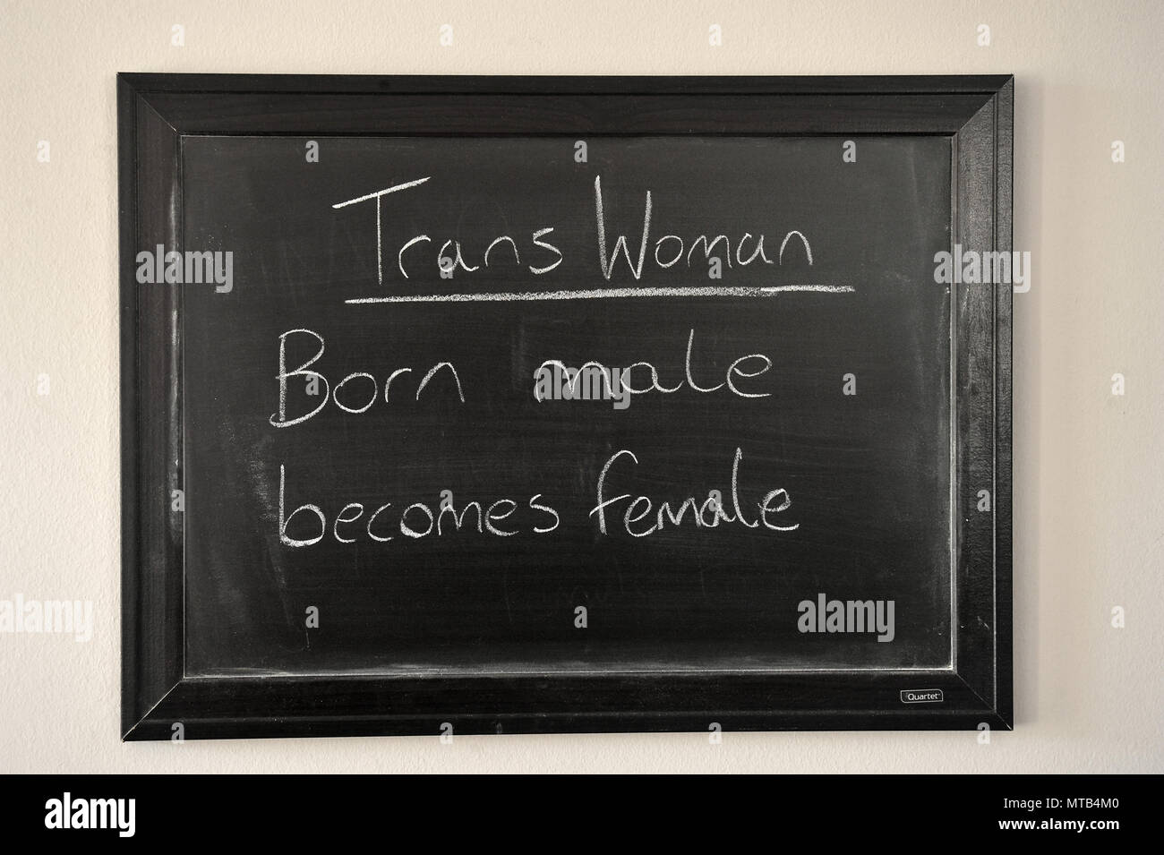 Trans woman definition written in a white chalk on a wall mounted blackboard Stock Photo