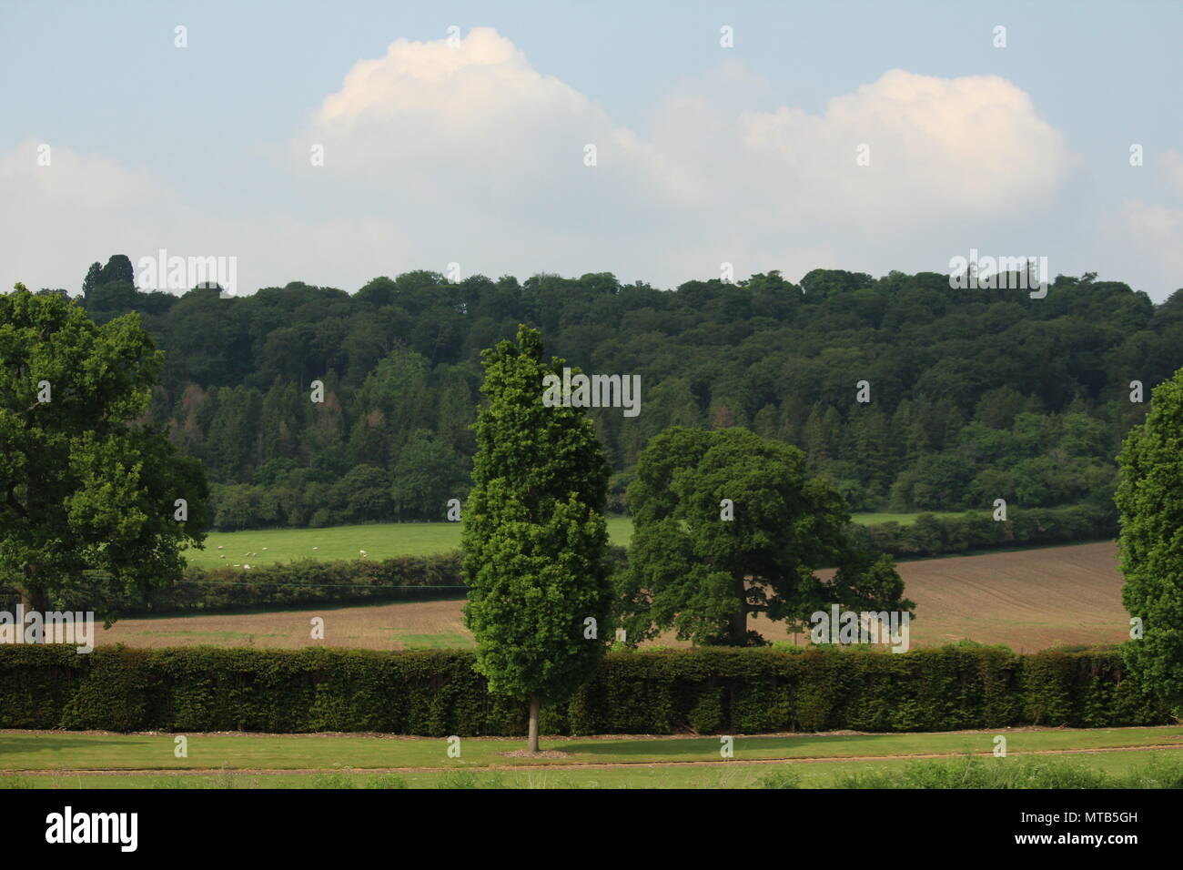 Landscapes 'Green England' view across British countryside at Henley
