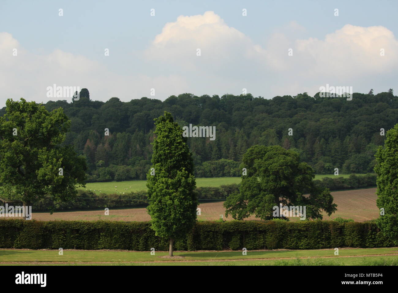 Henley landscapes hires stock photography and images Alamy