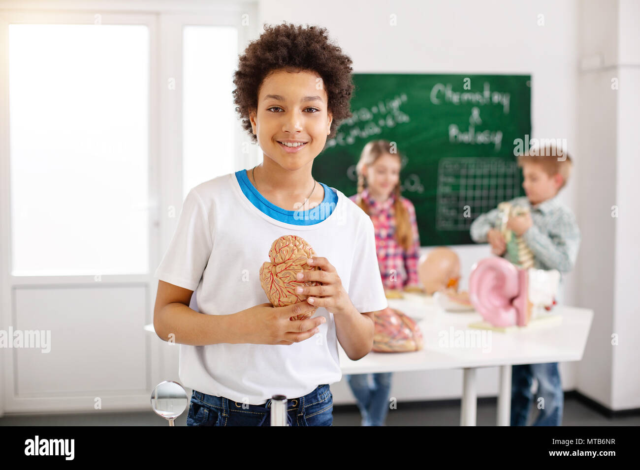Cheerful positive boy being interested in biology Stock Photo