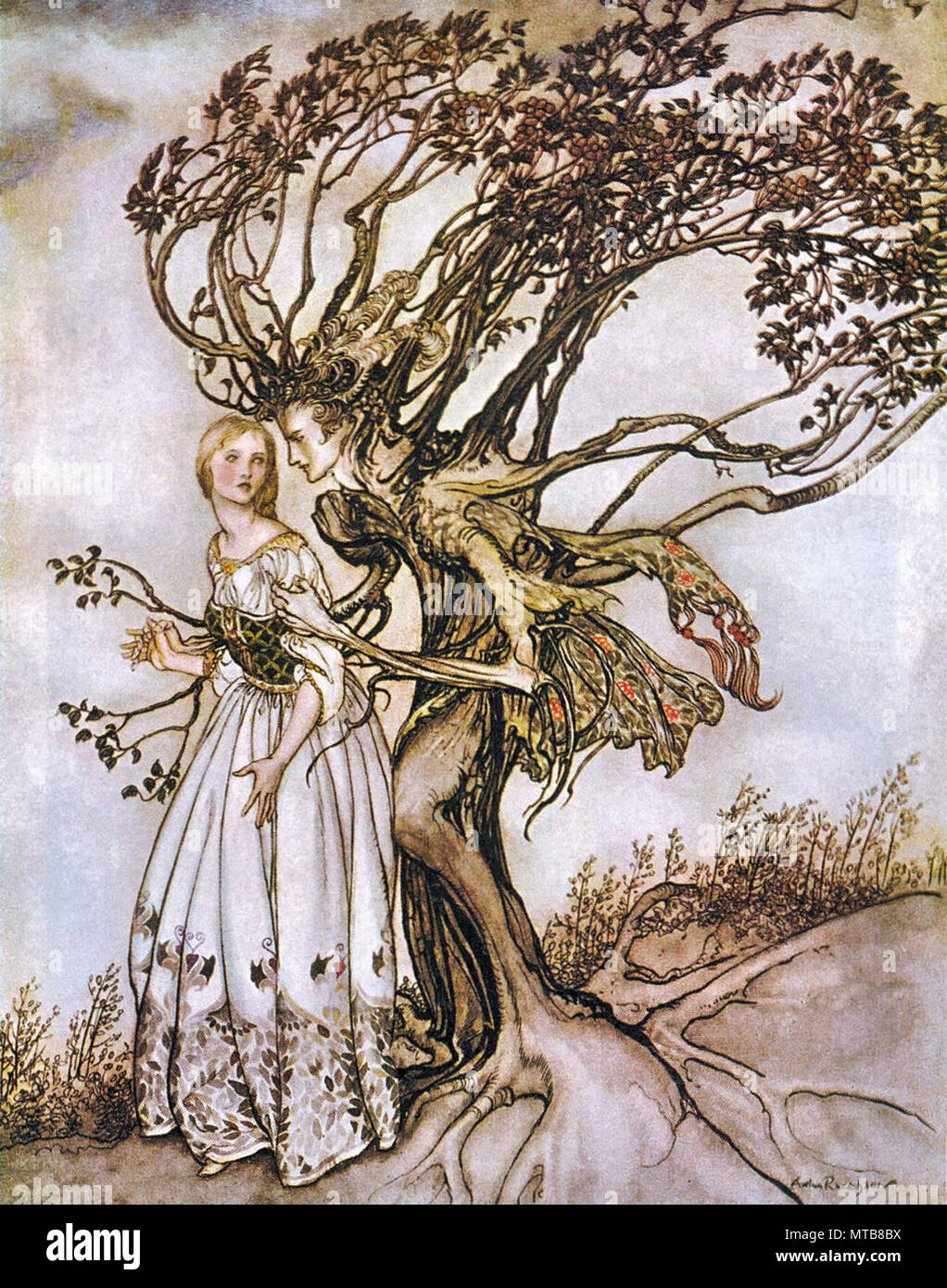 Rackham Arthur - the Old Woman in the Wood - Suddenly the Branches Twined Round Her and Turned into Two Arms Stock Photo