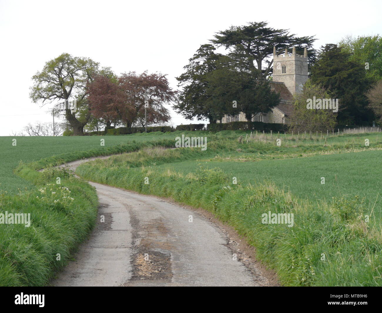Winding Road to the Church, between Bury St Edmunds and Lavenham, Suffolk, England Stock Photo