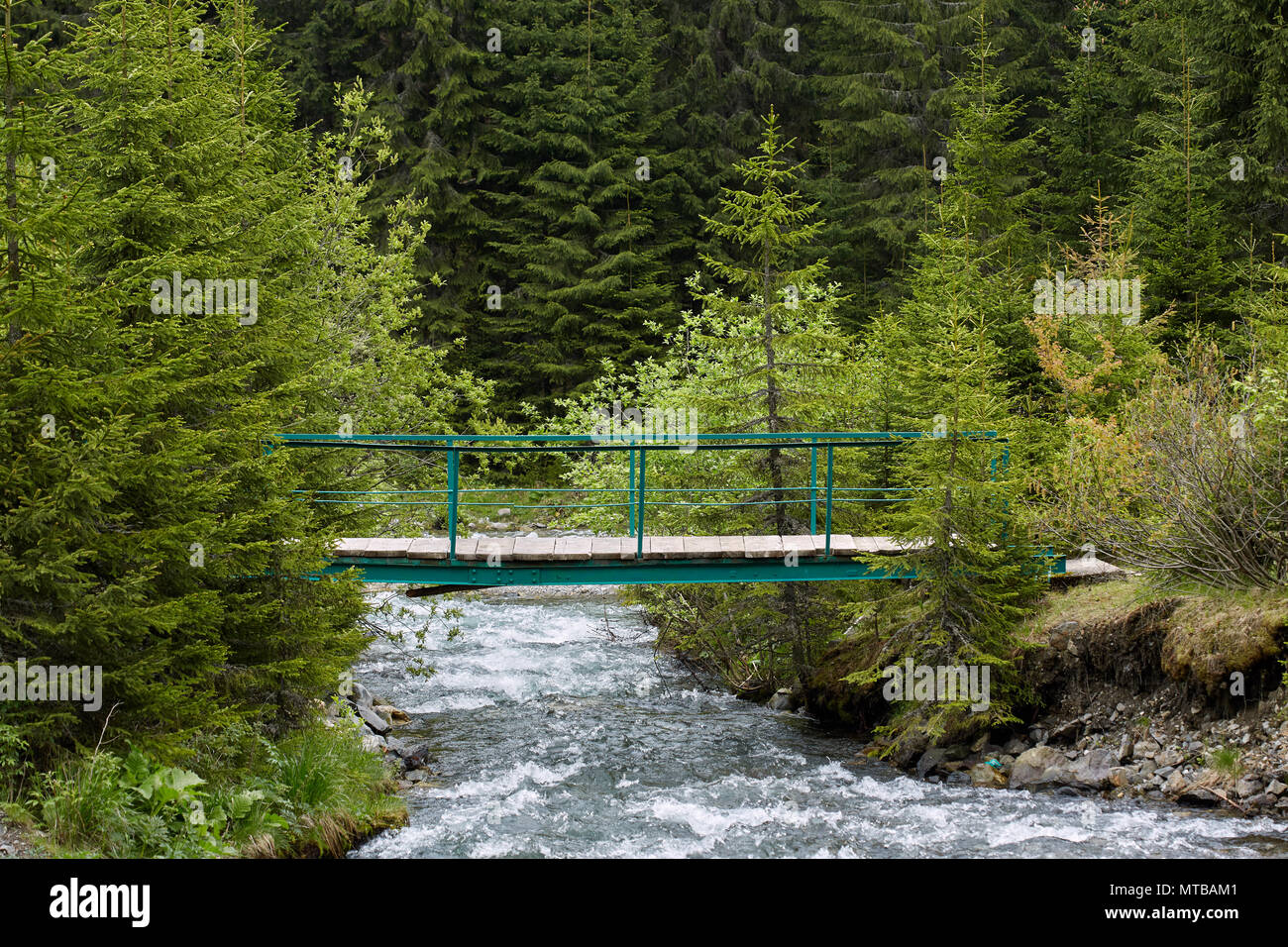 Wooden bridge across a creek in the forest Stock Photo - Alamy
