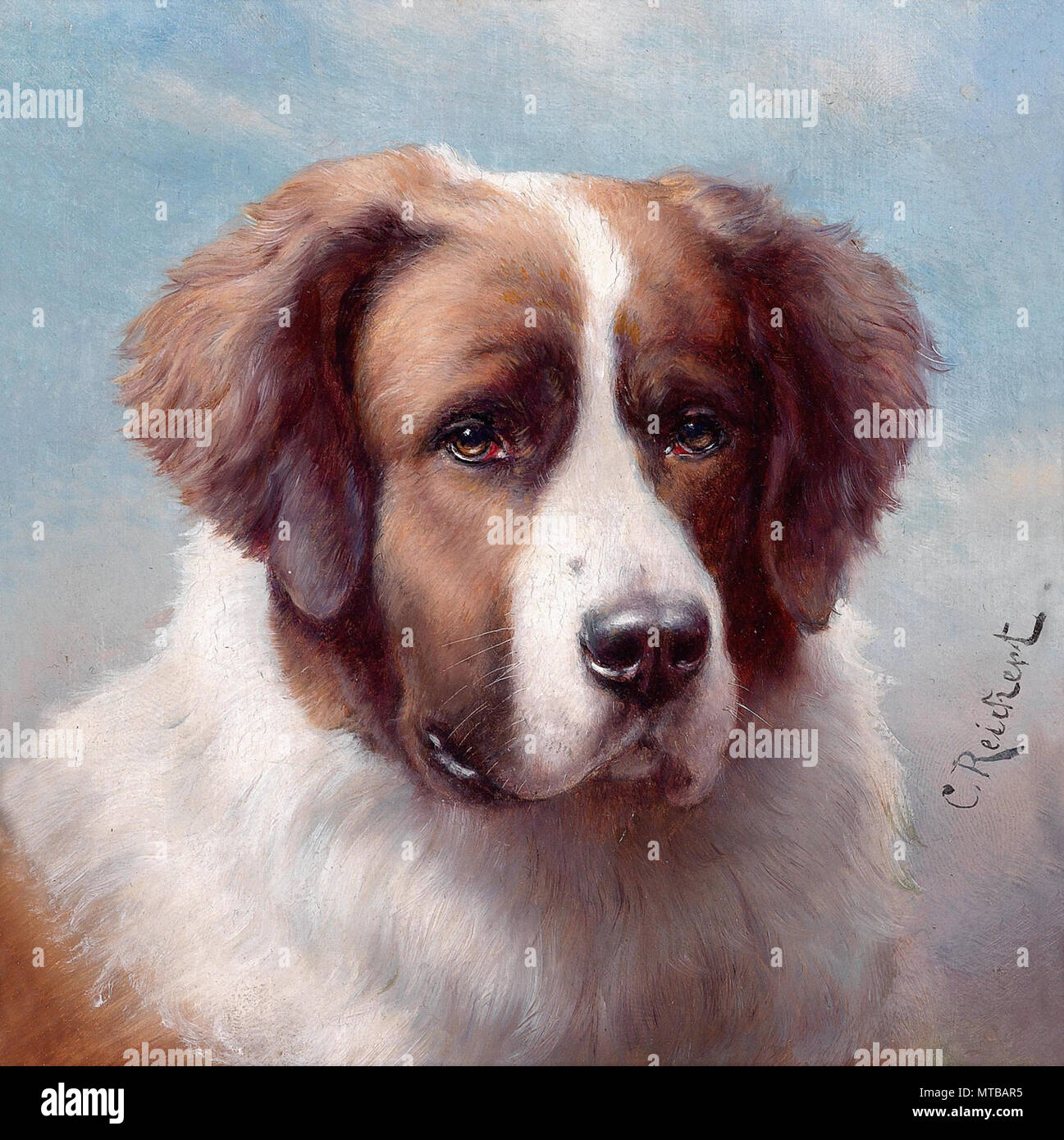 Reichert Carl St Bernhard 4 Stock Photo Alamy