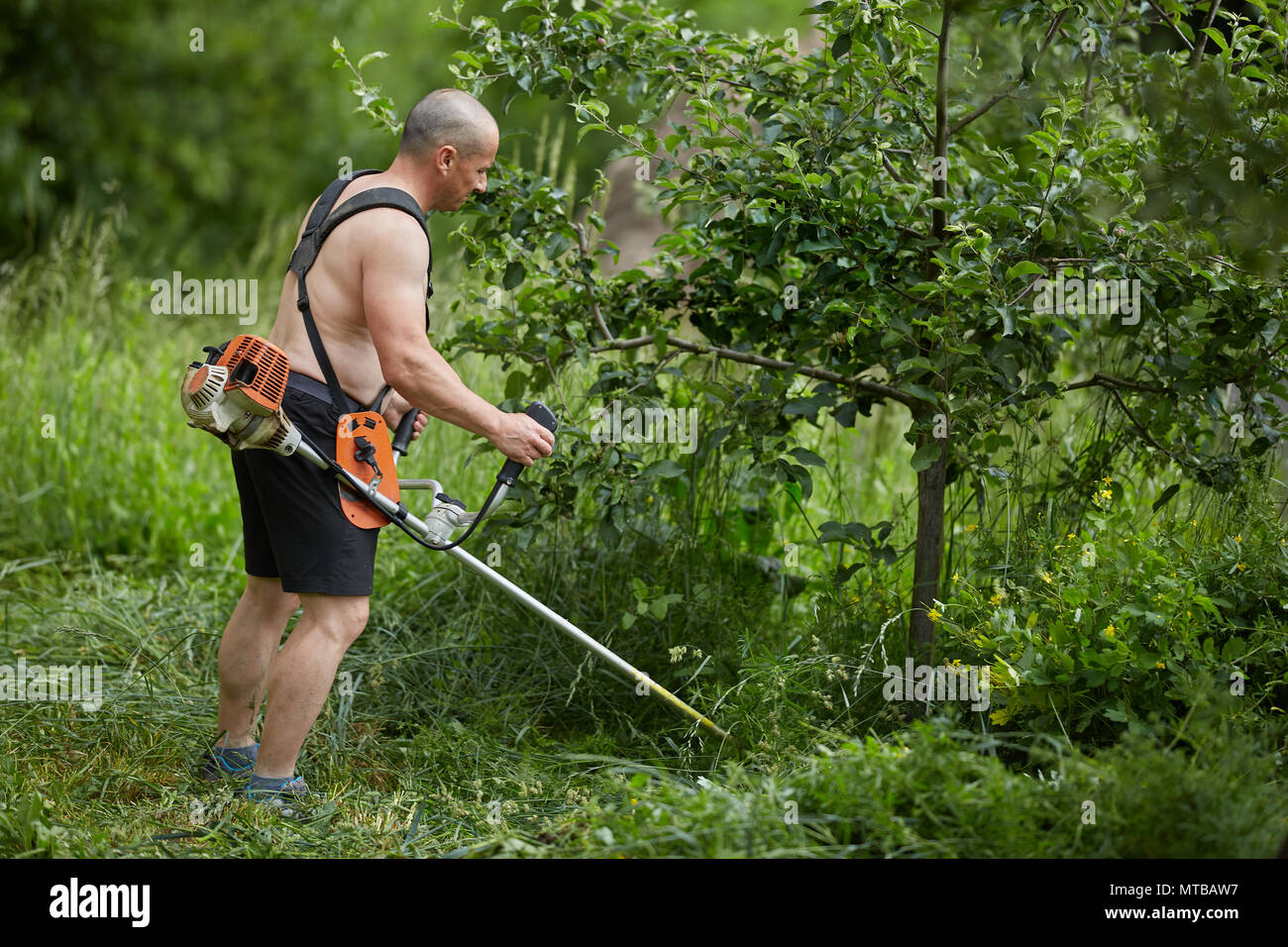Man mowing the land with a brushcutter, motorized mower Stock Photo