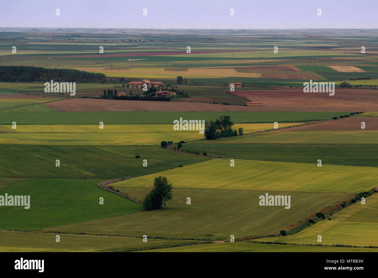 Aerial view of the fields from the wall of Villa del libro, Urueña, town of Valladolid, Castilla y Leon, Spain, Europe Stock Photo