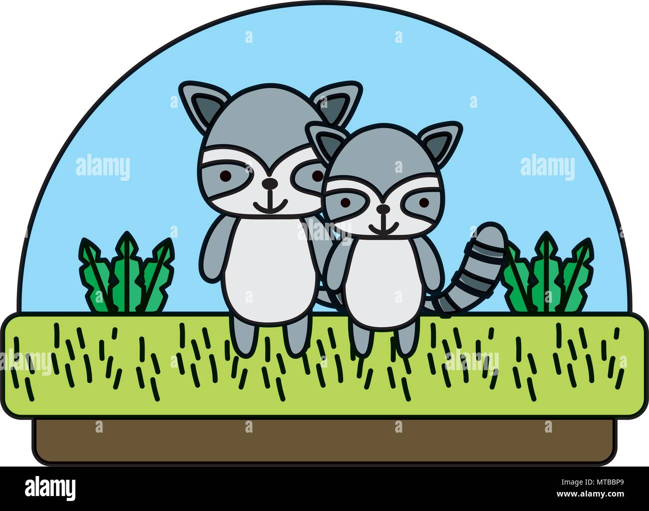 color couple raccoon cute animal in the countryside Stock Vector Image ...
