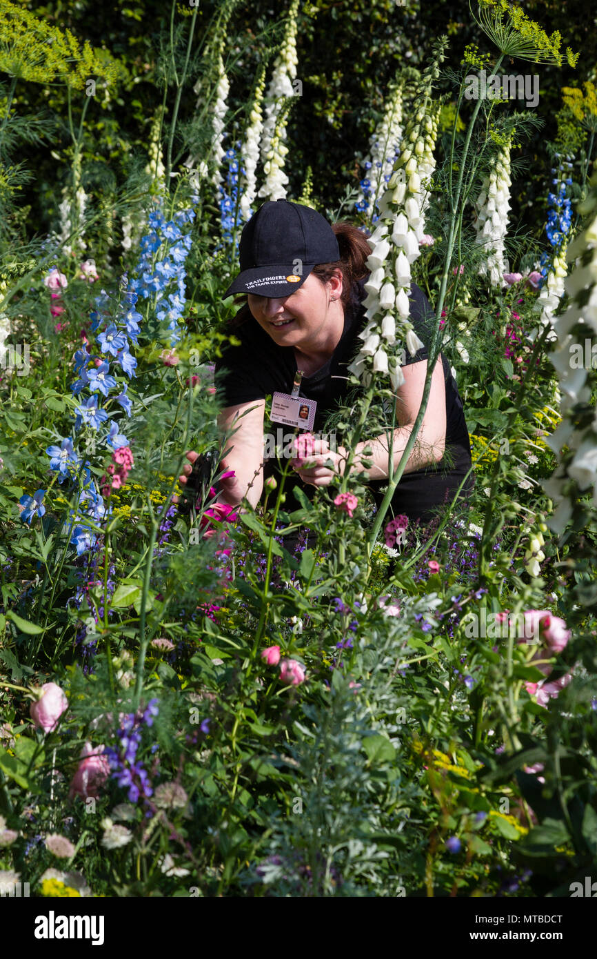 Tagging plants for sale Chelsea Flower Show, London Saturday 27th May 2018 Stock Photo