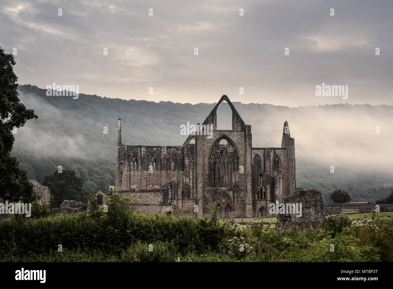 Chepstow Abbey in dawn mist Stock Photo