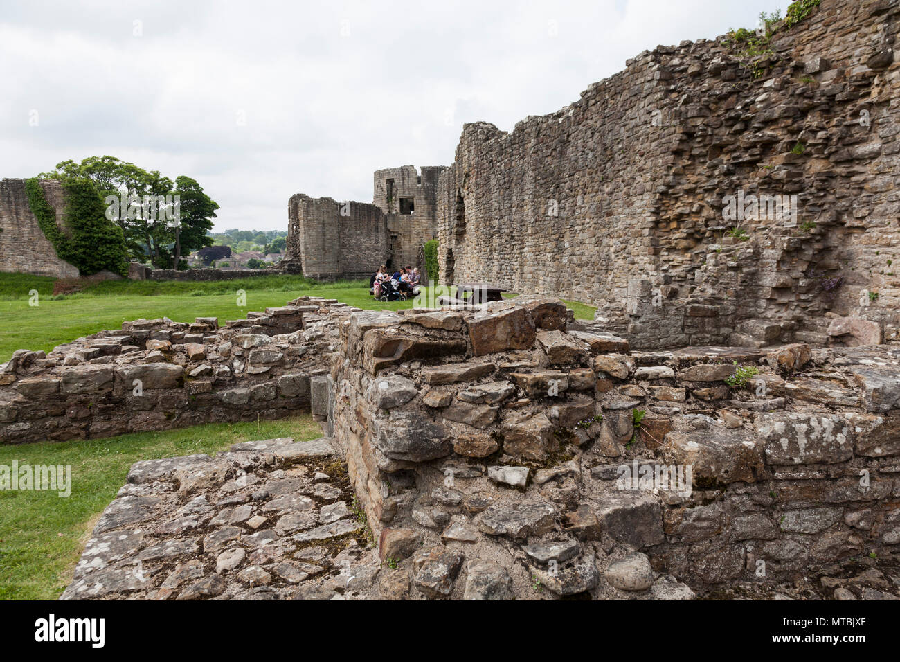 Inside the grounds of Barnard Castle,England,UK Stock Photo Alamy