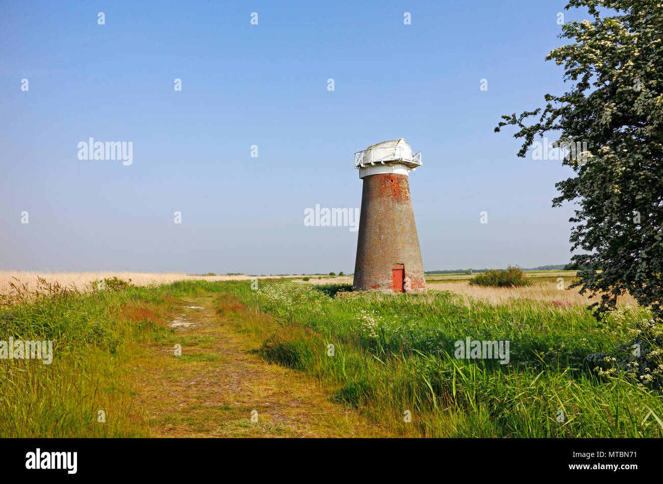 A view of West Somerton Drainage Mill on the Norfolk Broads at West