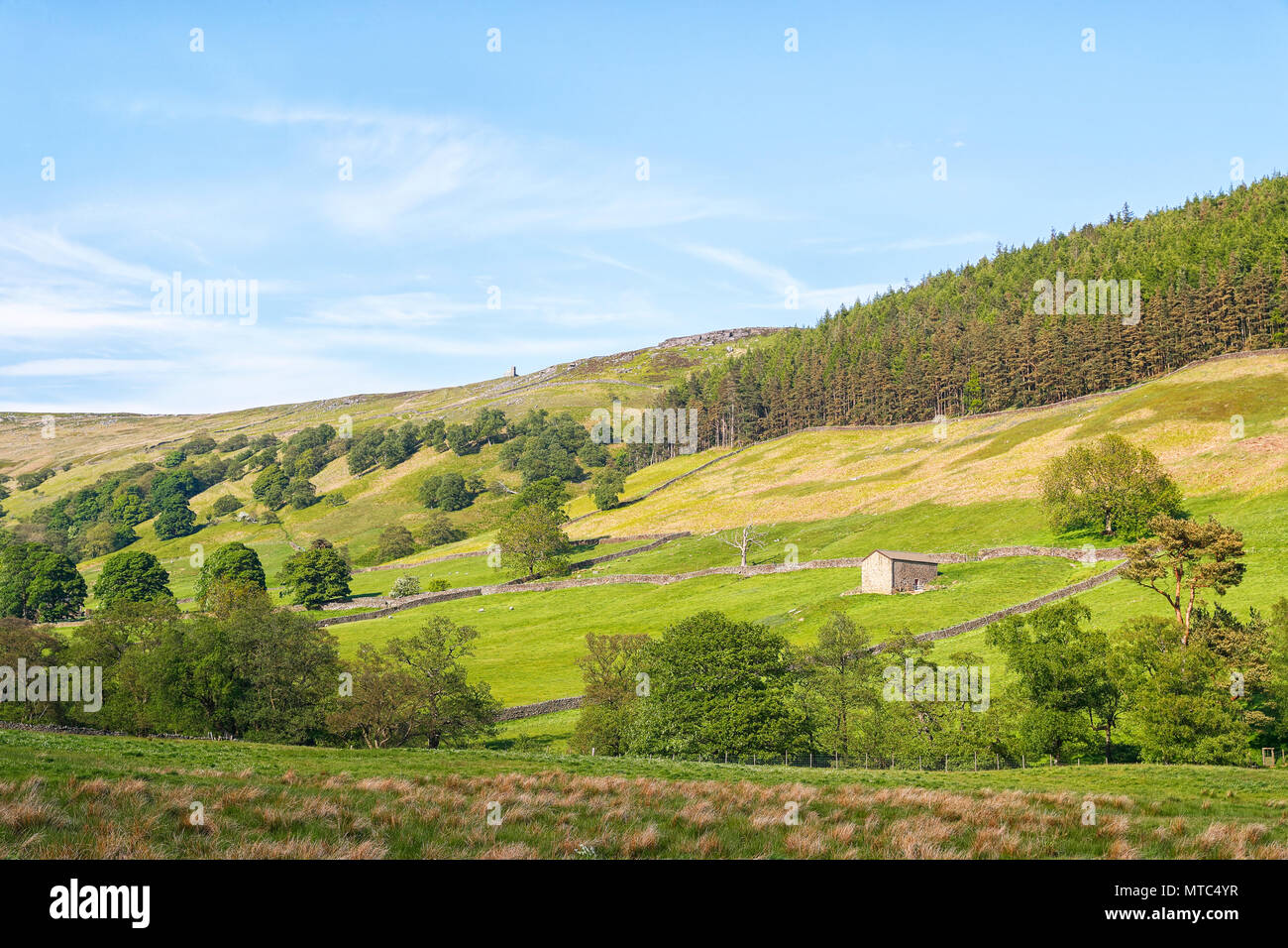 The beautiful Nidd valley Nidderdale North Yorkshire Stock Photo