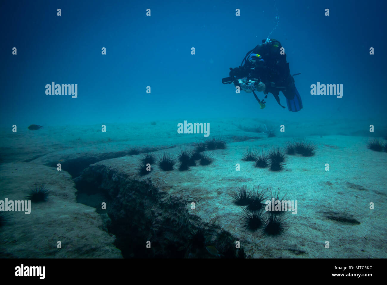 underwater photographer, corralejo fuerteventura canary islands Stock