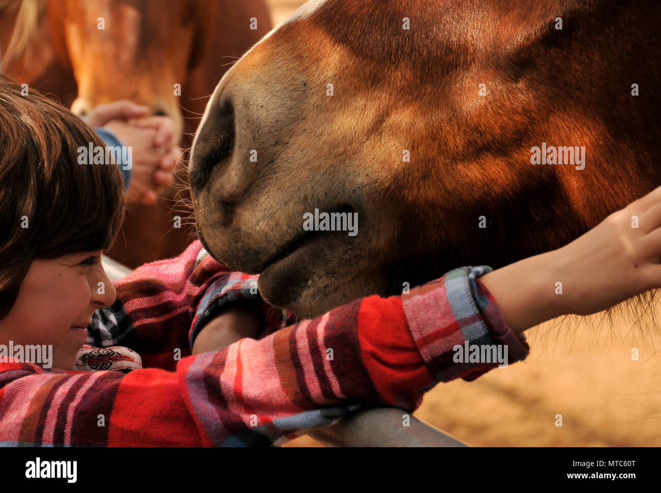 A young boy selects a horse to sponsor as a Christmas gift from his aunt at Equine Voices Sanctary and Rescue, Green Valley, Arizona, USA. Stock Photo