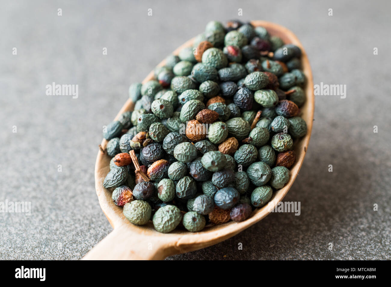 Citlembik / Northern Hackberry Seeds / Terebinth Berry / Celtis