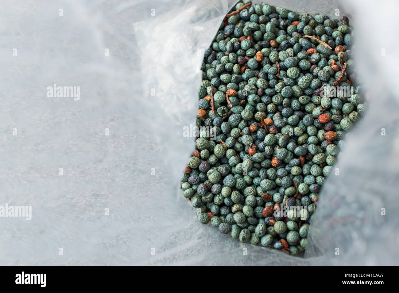 Citlembik / Northern Hackberry Seeds / Terebinth Berry / Celtis