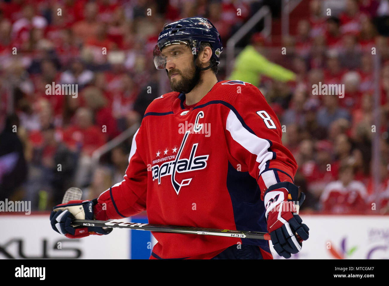 Capitals left wing Alex Ovechkin (8). Stock Photo