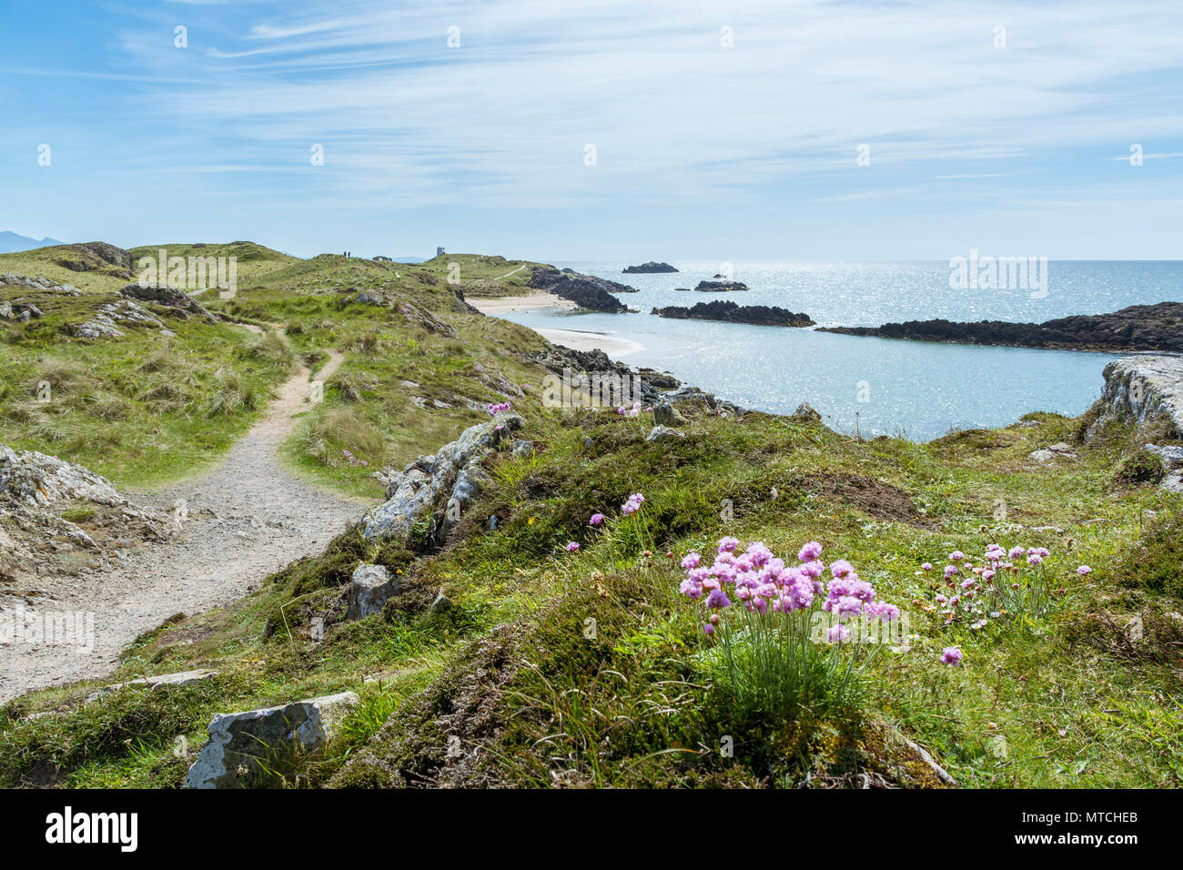 UK, Anglesey, Newborough. 19th May 2018. A view of Llanddwyn Island with wild flowers in the foreground. Stock Photo