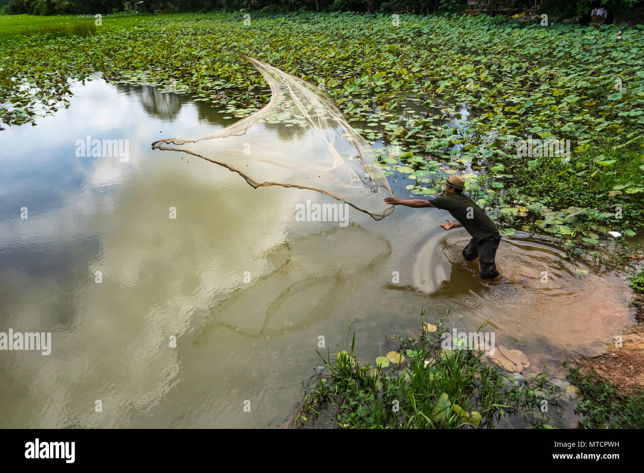 Cambodian fisherman casts his net Stock Photo - Alamy