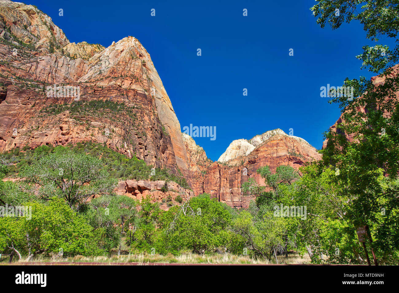 Zion main image 0
