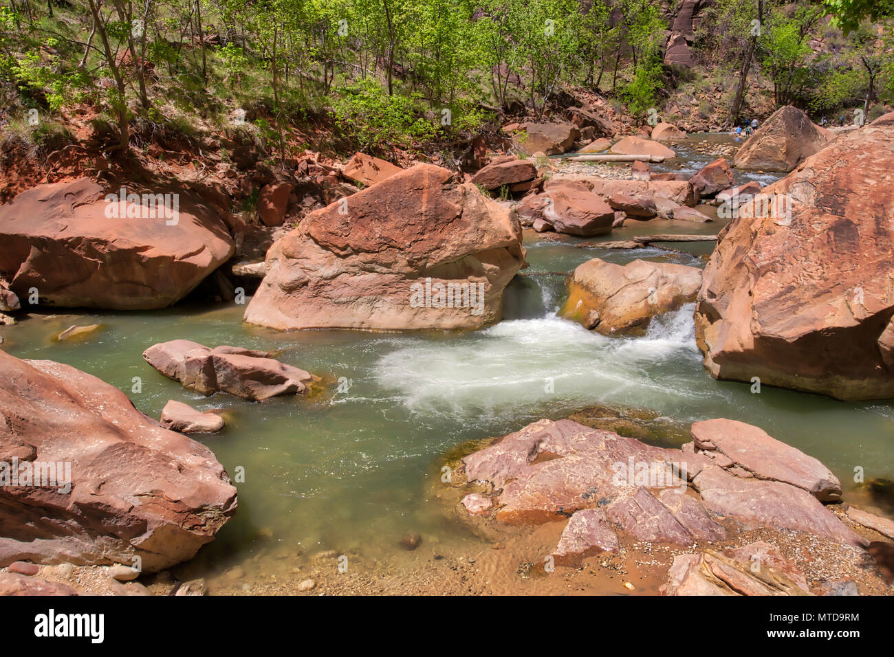 Virgin river zion fish hires stock photography and images Alamy