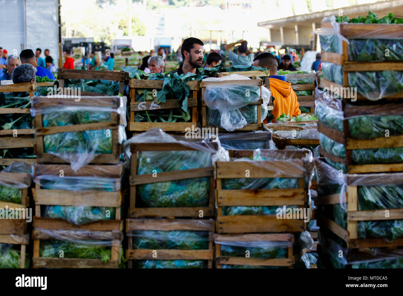 SÃO PAULO, SP - 29.05.2018: MOVIMENTO NO CEAGESP NESTA TERÇA FEIRA - After  9 days of truck stoppage, vegetable and vegetable loading begins to be  replaced in the boxes of Ceagesp, west