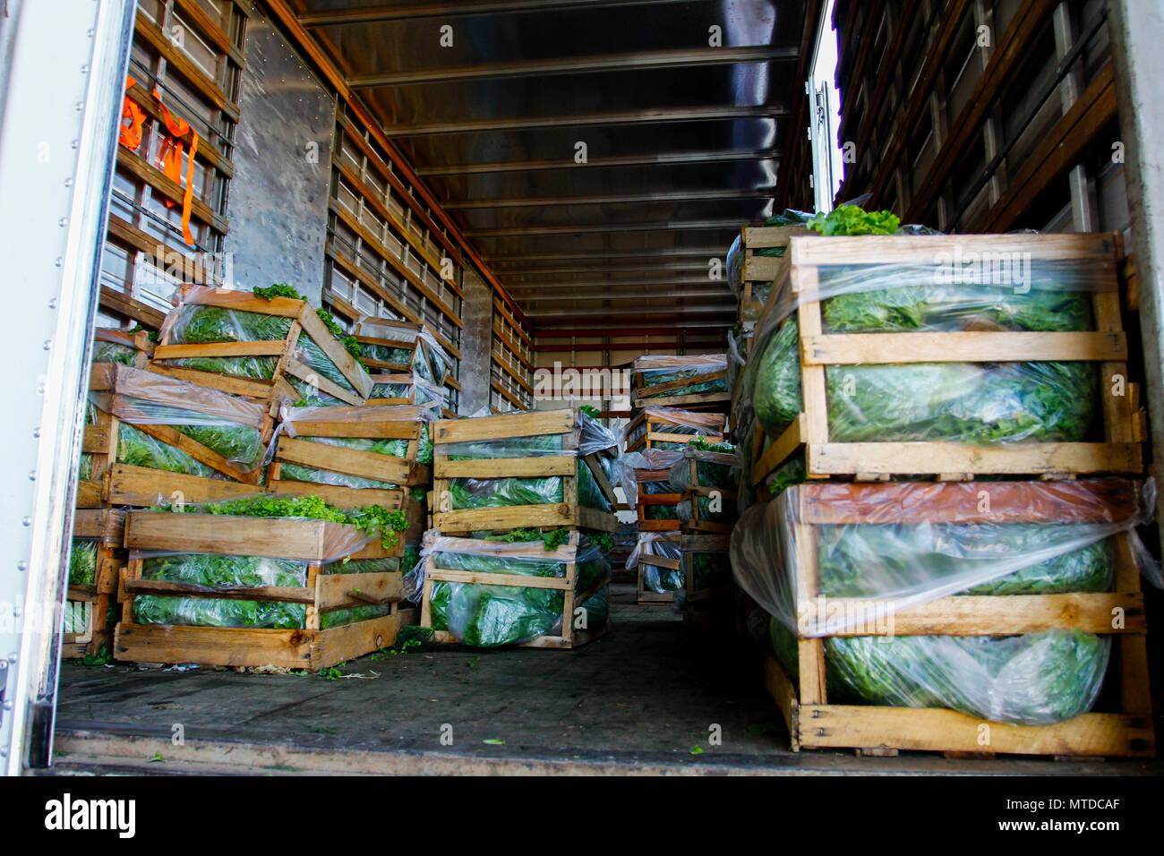 SÃO PAULO, SP - 29.05.2018: MOVIMENTO NO CEAGESP NESTA TERÇA FEIRA - After  9 days of truck stoppage, vegetable and vegetable loading begins to be  replaced in the boxes of Ceagesp, west