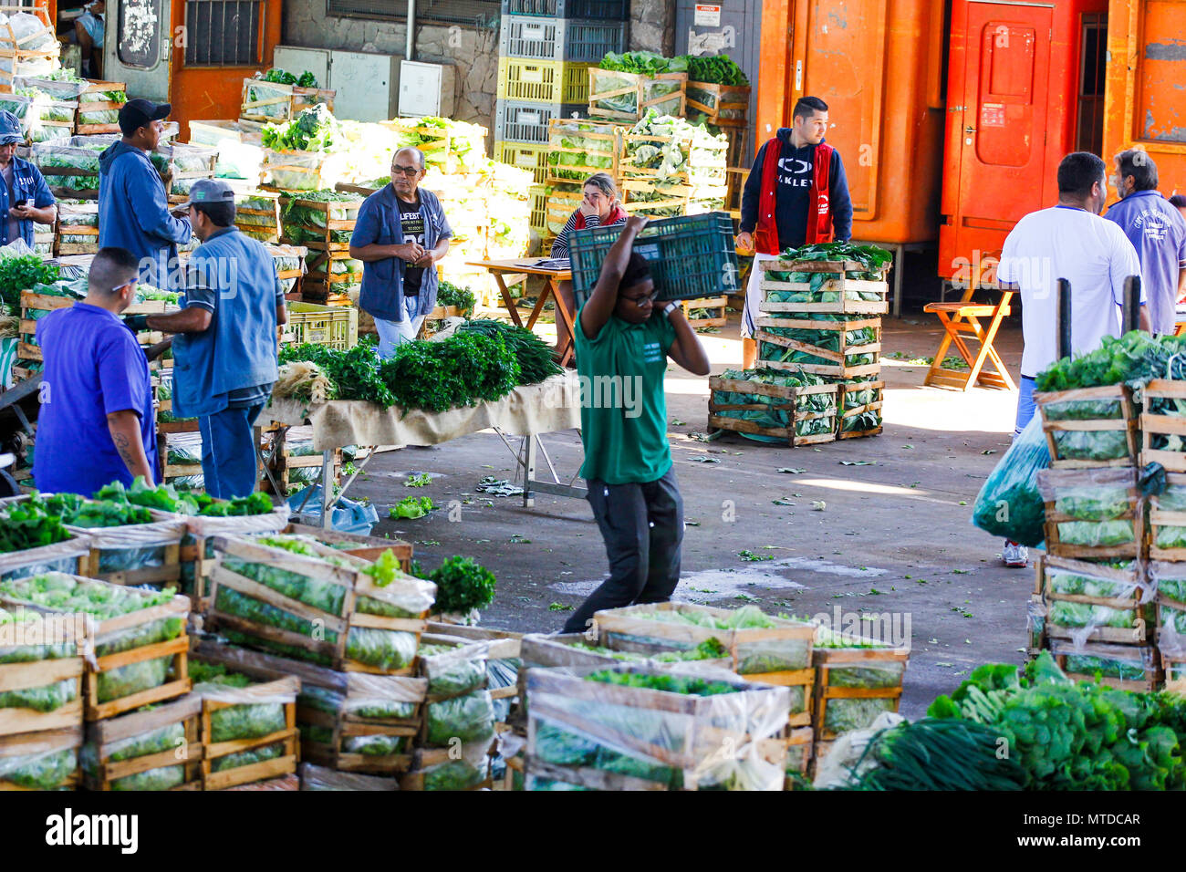 SÃO PAULO, SP - 29.05.2018: MOVIMENTO NO CEAGESP NESTA TERÇA FEIRA - After  9 days of truck stoppage, vegetable and vegetable loading begins to be  replaced in the boxes of Ceagesp, west