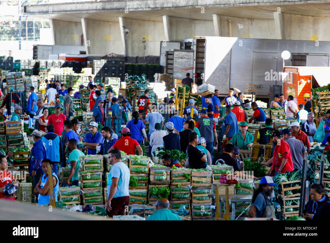 SÃO PAULO, SP - 29.05.2018: MOVIMENTO NO CEAGESP NESTA TERÇA FEIRA - After  9 days of truck stoppage, vegetable and vegetable loading begins to be  replaced in the boxes of Ceagesp, west