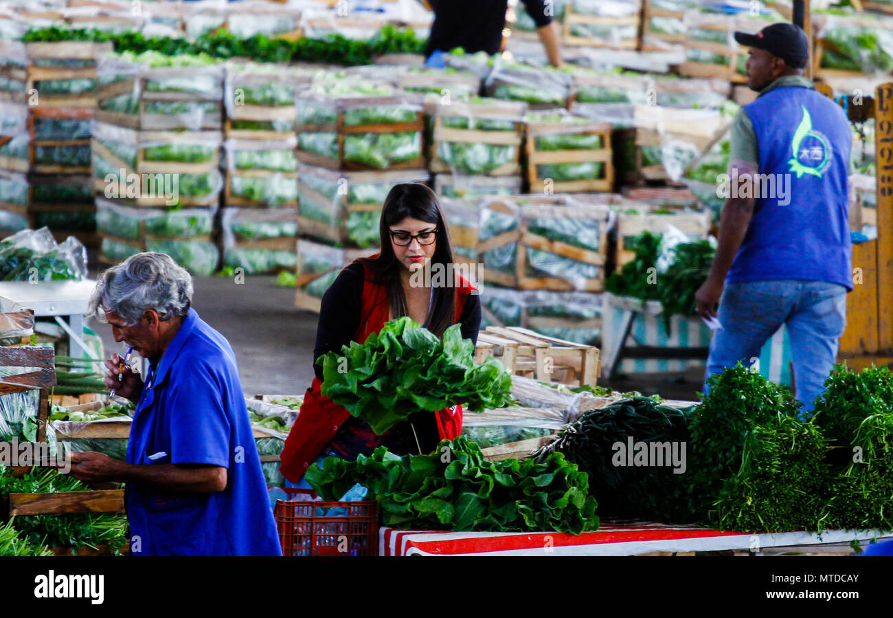 SÃO PAULO, SP - 29.05.2018: MOVIMENTO NO CEAGESP NESTA TERÇA FEIRA - After  9 days of truck stoppage, vegetable and vegetable loading begins to be  replaced in the boxes of Ceagesp, west