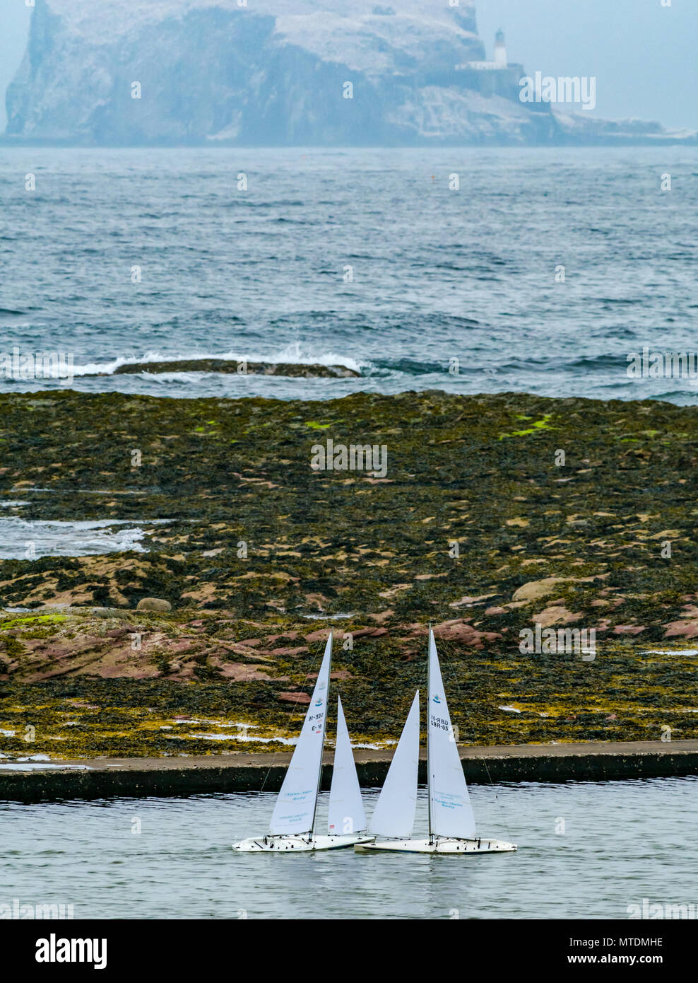 Milsey Bay, North Berwick. East Lothian, Scotland, United Kingdom, 30th May 2018. Sea fog or haar obscuring the view of the Bass Rock. Radio controlled Kyosho Marine Racing sailing yacht in the tidal bathing pool with the Bass Rock and lighthouse in the distance Stock Photo