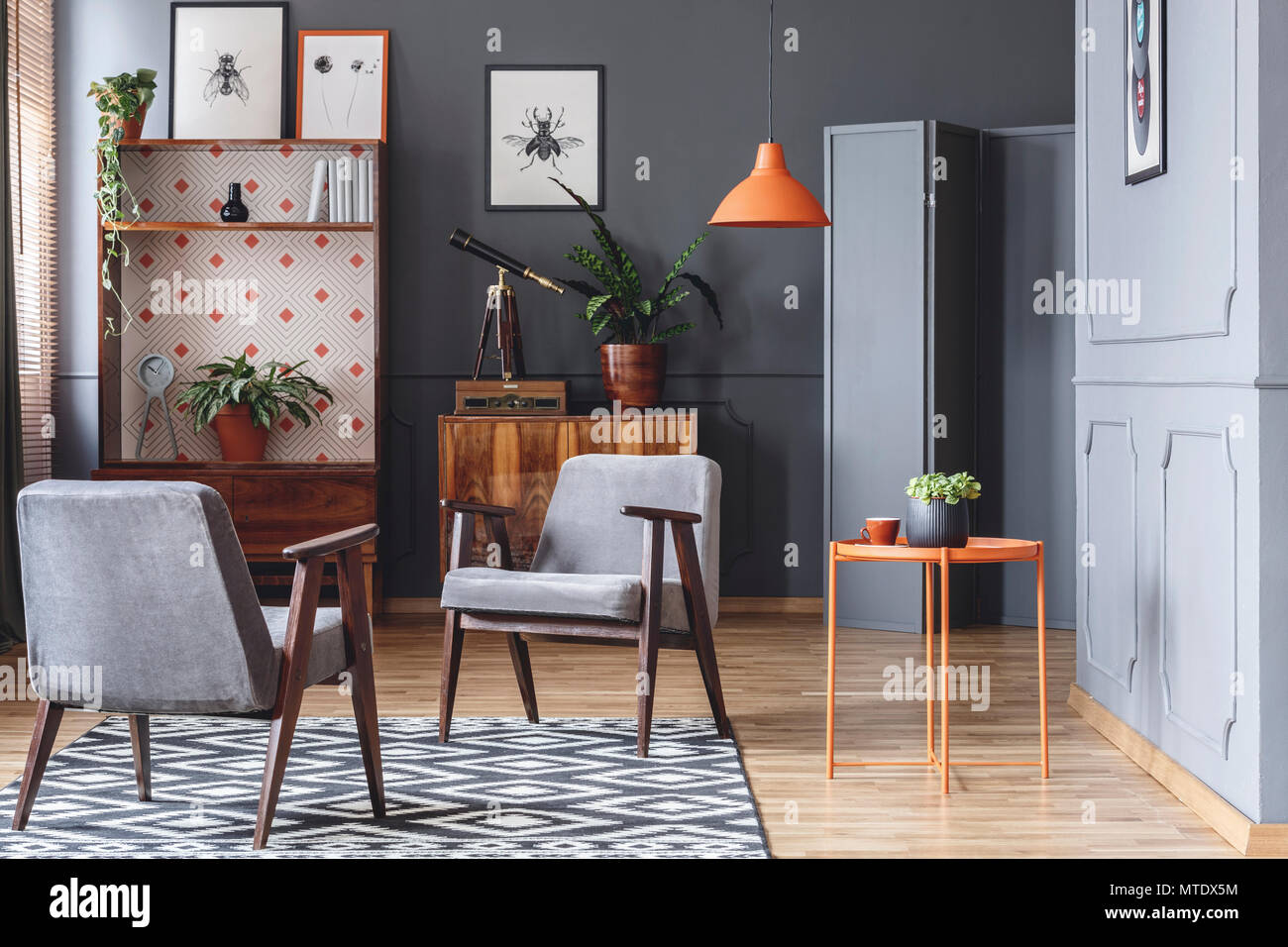 Two armchairs, orange coffee table, plants, wooden cupboards and grey walls in a living room interior Stock Photo