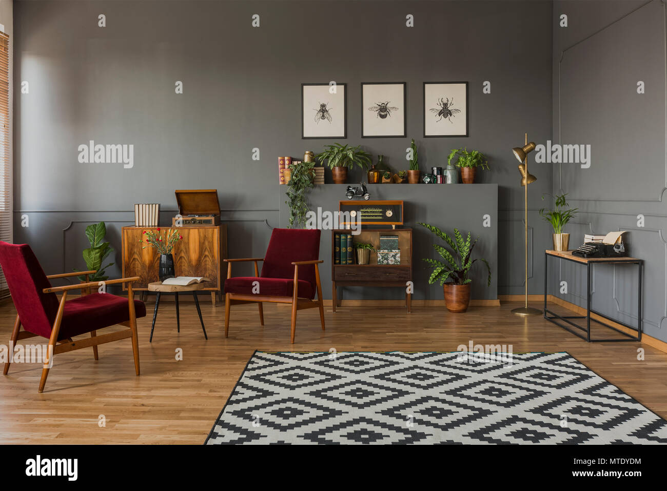 Patterned carpet in grey living room interior with dark red wooden armchairs and posters. Real photo Stock Photo